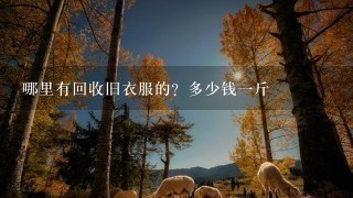 哪里有回收旧衣服的?多少钱1斤 哪里有回收旧衣服的?多少钱1斤