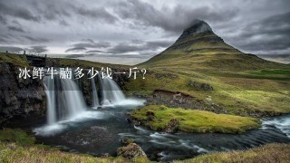 冰鲜牛腩多少钱1斤? 冰鲜牛腩多少钱1斤?