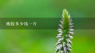 桃胶多少钱1斤 桃胶多少钱1斤