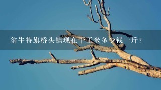 翁牛特旗桥头镇现在干玉米多少钱1斤? 翁牛特旗桥头镇现在干玉米多少钱1斤?