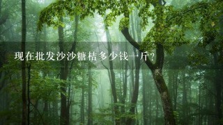 现在批发沙沙糖桔多少钱1斤? 现在批发沙沙糖桔多少钱1斤?