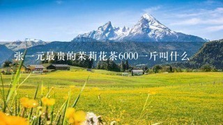 张1元最贵的茉莉花茶60001斤叫什么 张1元最贵的茉莉花茶60001斤叫什么