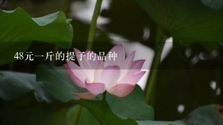 48元1斤的提子的品种 48元1斤的提子的品种