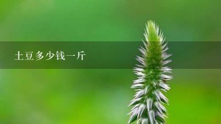 土豆多少钱1斤 土豆多少钱1斤