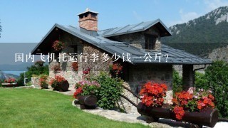 国内飞机托运行李多少钱1公斤? 国内飞机托运行李多少钱1公斤?