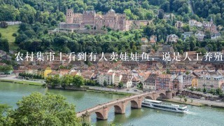 农村集市上看到有人卖娃娃鱼,说是人工养殖的,是否 农村集市上看到有人卖娃娃鱼,说是人工养殖的,是否