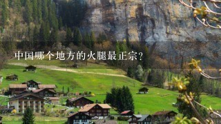 中国哪个地方的火腿最正宗? 中国哪个地方的火腿最正宗?