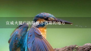 宣威火腿广场附近办酒席的地方 宣威火腿广场附近办酒席的地方