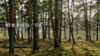 蜂蜜多少钱1斤? 蜂蜜多少钱1斤?
