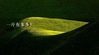 1斤有多少? 1斤有多少?