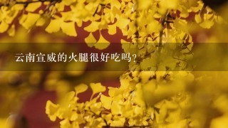 云南宣威的火腿很好吃吗? 云南宣威的火腿很好吃吗?