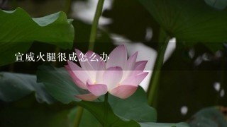 宣威火腿很咸怎么办 宣威火腿很咸怎么办