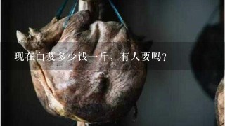 现在白芨多少钱1斤,有人要吗? 现在白芨多少钱1斤,有人要吗?
