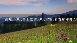 试吃1500元帝王蟹和300元雪蟹,看看哪种更值得购买! 试吃1500元帝王蟹和300元雪蟹,看看哪种更值得购买!