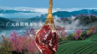 广元猕猴桃多少钱1斤 广元猕猴桃多少钱1斤