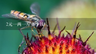 2元1两1斤多少钱 2元1两1斤多少钱