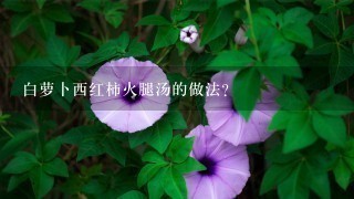 白萝卜西红柿火腿汤的做法? 白萝卜西红柿火腿汤的做法?