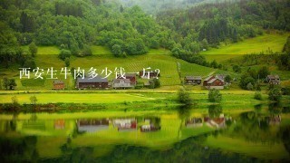 西安生牛肉多少钱1斤? 西安生牛肉多少钱1斤?