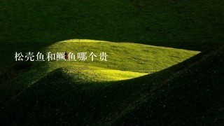 松壳鱼和鳜鱼哪个贵 松壳鱼和鳜鱼哪个贵