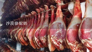 沙漠骆驼奶 沙漠骆驼奶