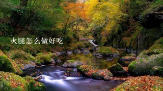 火腿怎么做好吃 火腿怎么做好吃