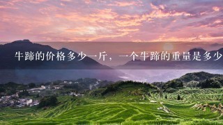牛蹄的价格多少1斤,1个牛蹄的重量是多少? 牛蹄的价格多少1斤,1个牛蹄的重量是多少?