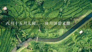八月十五月儿圆,一块月饼甜又甜 八月十五月儿圆,一块月饼甜又甜