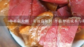 1个平菇大棚1年效益如何 平菇种植成本与利润 1个平菇大棚1年效益如何 平菇种植成本与利润