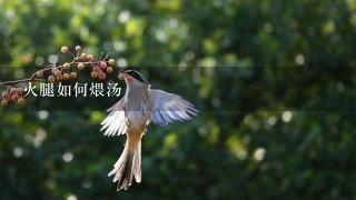火腿如何煨汤 火腿如何煨汤