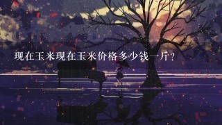现在玉米现在玉米价格多少钱1斤? 现在玉米现在玉米价格多少钱1斤?