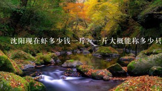 沈阳现在虾多少钱1斤?1斤大概能称多少只呢? 沈阳现在虾多少钱1斤?1斤大概能称多少只呢?