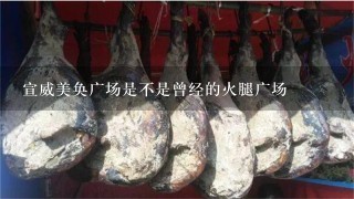 宣威美奂广场是不是曾经的火腿广场 宣威美奂广场是不是曾经的火腿广场