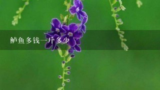 鲈鱼多钱1斤多少 鲈鱼多钱1斤多少