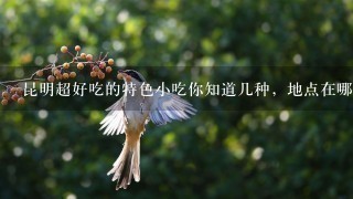 昆明超好吃的特色小吃你知道几种,地点在哪里?:) 昆明超好吃的特色小吃你知道几种,地点在哪里?:)