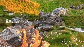 花鲢鱼多少钱1斤? 花鲢鱼多少钱1斤?