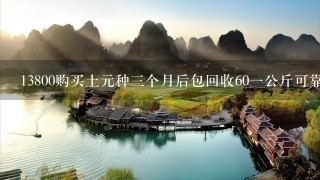 13800购买土元种3个月后包回收601公斤可靠吗 13800购买土元种3个月后包回收601公斤可靠吗