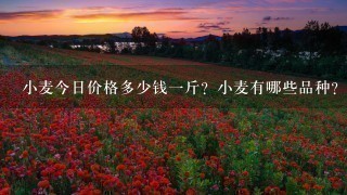 小麦今日价格多少钱1斤?小麦有哪些品种? 小麦今日价格多少钱1斤?小麦有哪些品种?