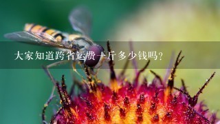 大家知道跨省运费1斤多少钱吗? 大家知道跨省运费1斤多少钱吗?