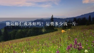 能运虾仁或冻虾吗?运费多少钱1斤 能运虾仁或冻虾吗?运费多少钱1斤