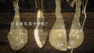 1斤玉米有多少个粒? 1斤玉米有多少个粒?