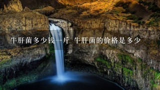 牛肝菌多少钱1斤 牛肝菌的价格是多少 牛肝菌多少钱1斤 牛肝菌的价格是多少