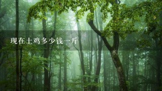 现在土鸡多少钱1斤 现在土鸡多少钱1斤