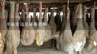 平菇贵还是榛蘑贵啊 平菇贵还是榛蘑贵啊