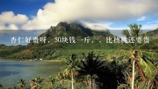 杏仁好贵呀,50块钱1斤,,比核桃还要贵 杏仁好贵呀,50块钱1斤,,比核桃还要贵