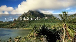 普洱茶正宗冰岛多少钱1斤? 普洱茶正宗冰岛多少钱1斤?