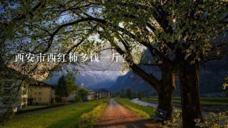 西安市西红柿多钱1斤? 西安市西红柿多钱1斤?
