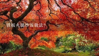 铁板火腿炒饭做法? 铁板火腿炒饭做法?
