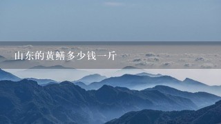 山东的黄鳝多少钱1斤 山东的黄鳝多少钱1斤