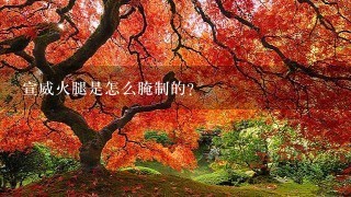 宣威火腿是怎么腌制的? 宣威火腿是怎么腌制的?