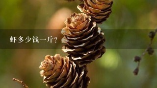 虾多少钱1斤? 虾多少钱1斤?